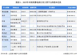 2.中國(guó)直播電商行業(yè)市場(chǎng)份額分析其本質(zhì)仍然是電子商務(wù)